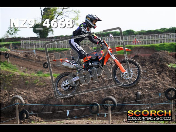 Experts-052
