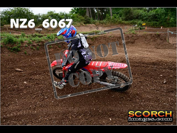 Inters Green-206