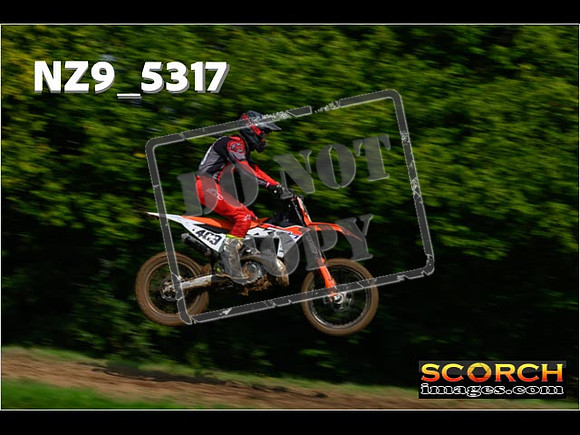 Experts-032