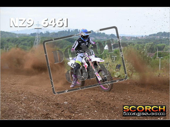 Experts-175