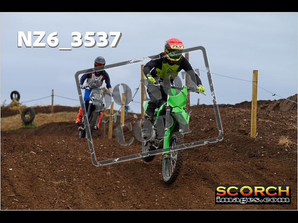 IntersGreen-056