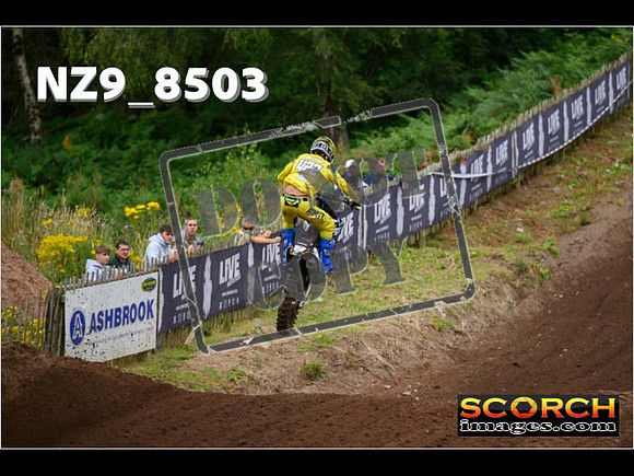 MX2-098