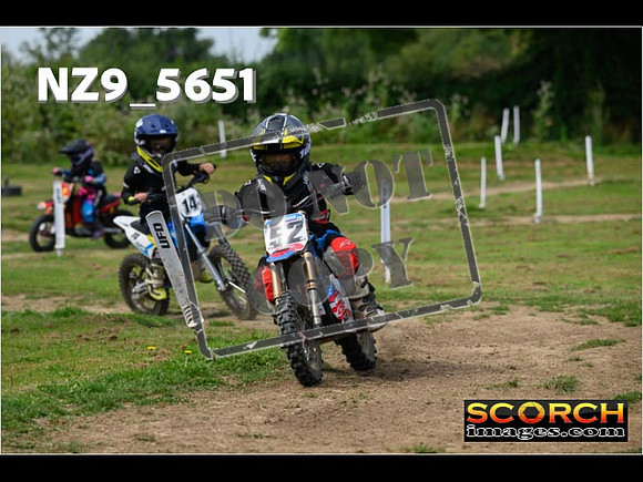 PeeWee Track-032
