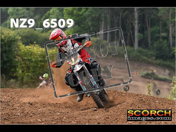 Experts-218