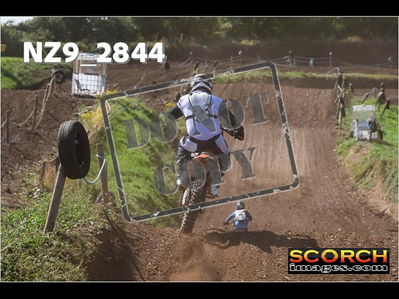 Experts-141