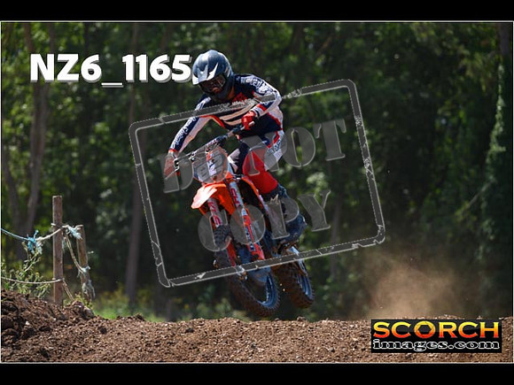 Experts-134