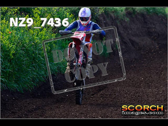 Experts-081