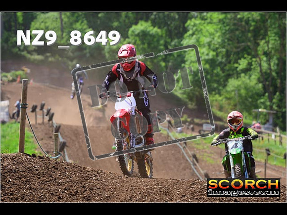 IntersGreenOrange-315
