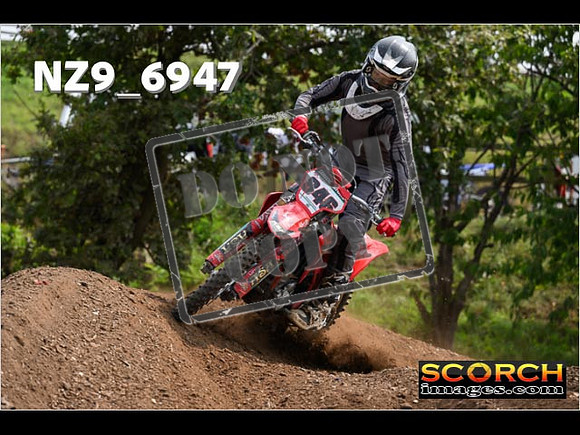 Experts-345