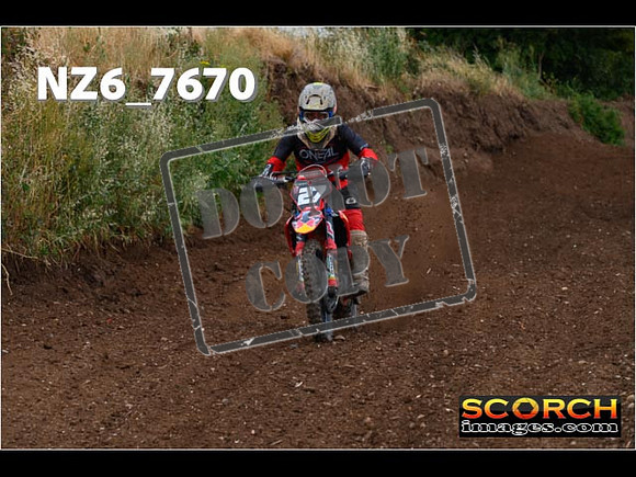 Experts-151