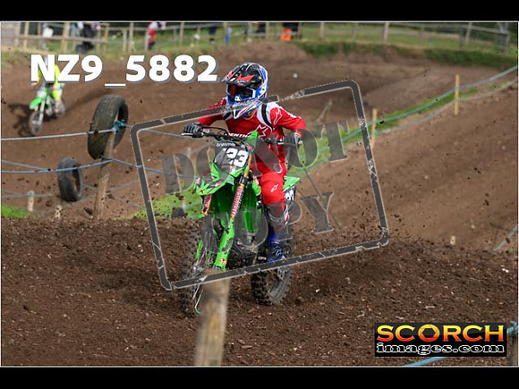 IntersGreen-072