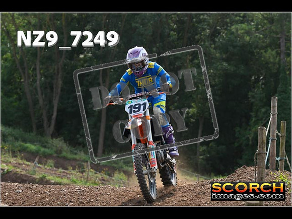 Inters Green-244