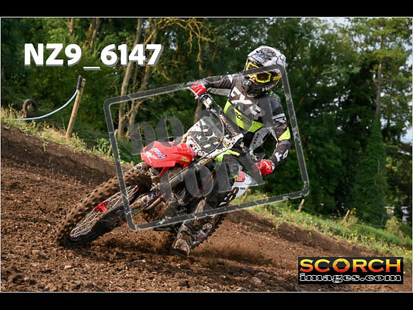 Experts-062