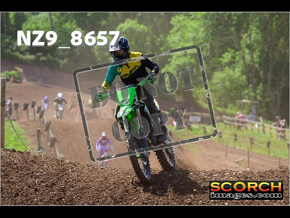 IntersGreenOrange-323