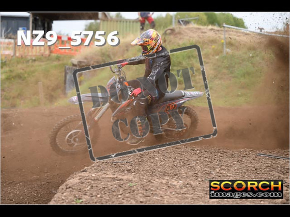 Experts-226