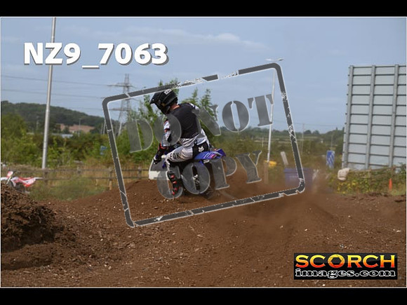 Experts-459