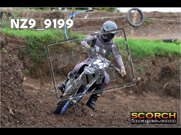 Experts-008