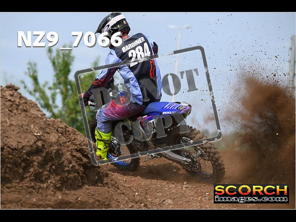 Experts-461