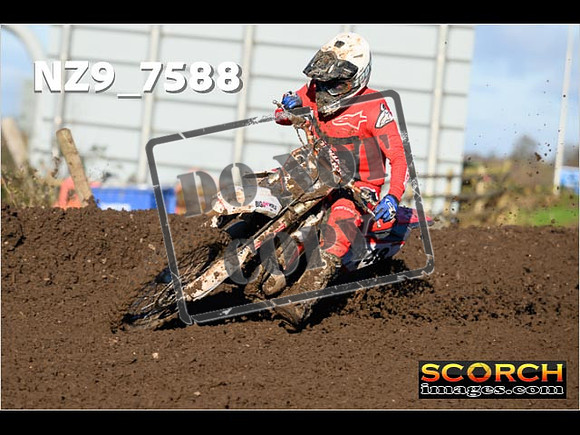 Experts-121