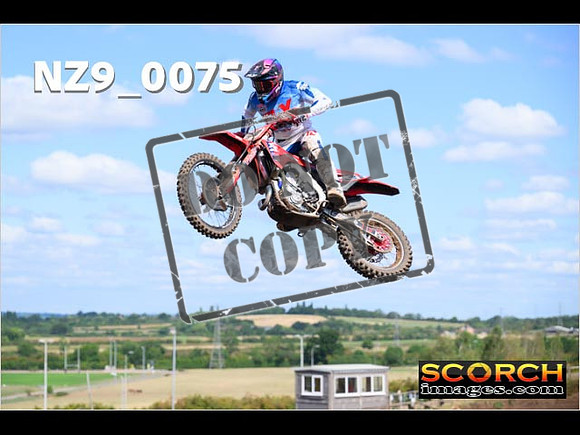 Experts-085