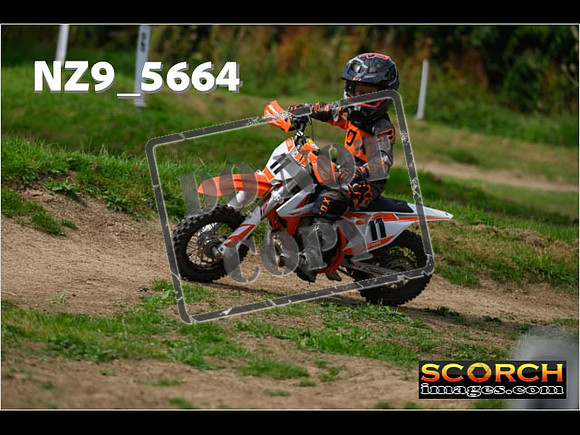 PeeWee Track-045