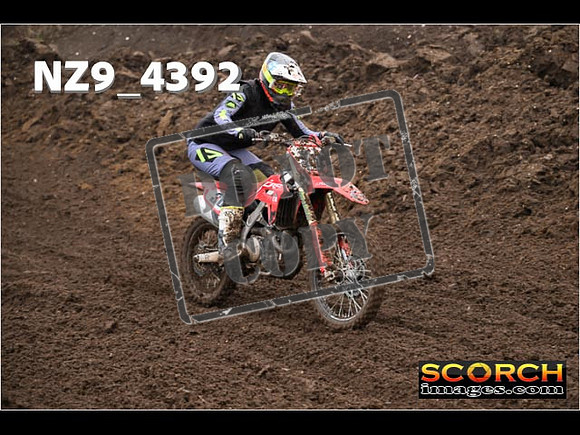 Experts-238