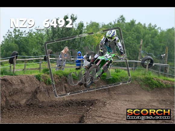 Experts-300