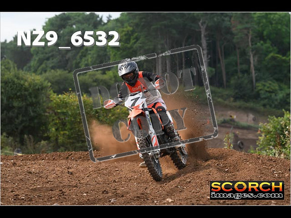 Experts-241