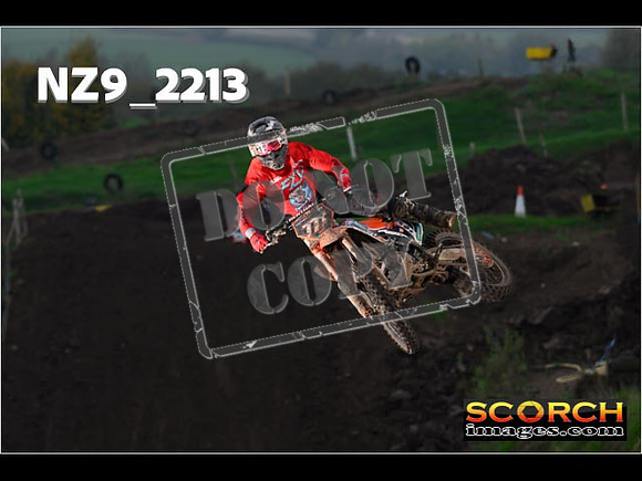 Experts-213