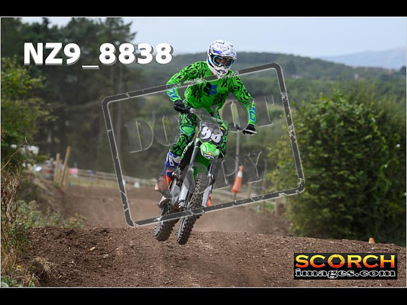 IntersGreen-098