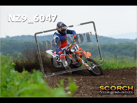 Experts-154