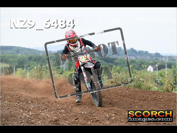 Experts-197
