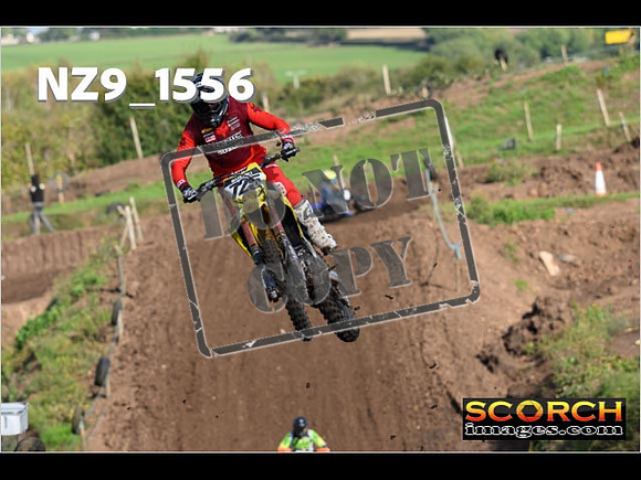Experts-239