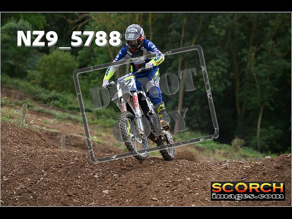 Experts-256