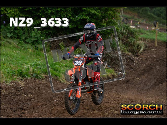 Experts-043
