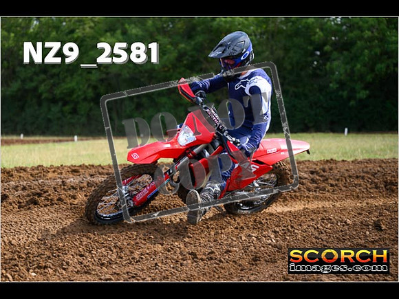 Experts-142