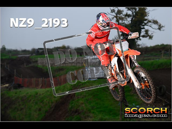 Experts-196