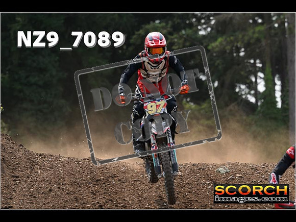 Experts-480