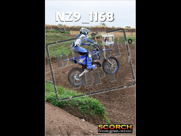 Experts-106