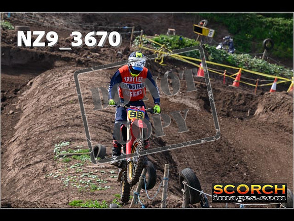 Experts-116