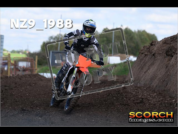 Experts-331
