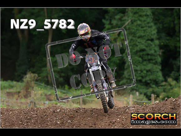 Experts-251