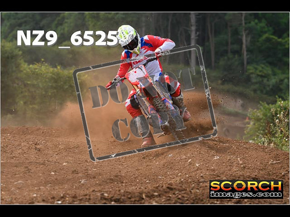 Experts-234