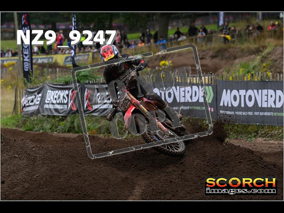 MX1-199