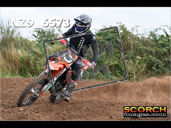 Experts-282