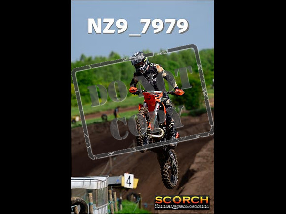 IntersGreenOrange-179