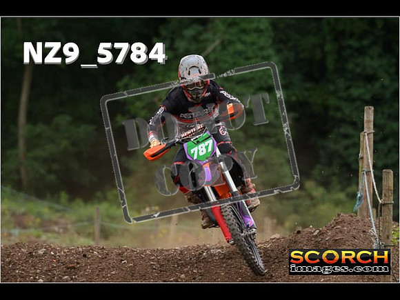 Experts-253