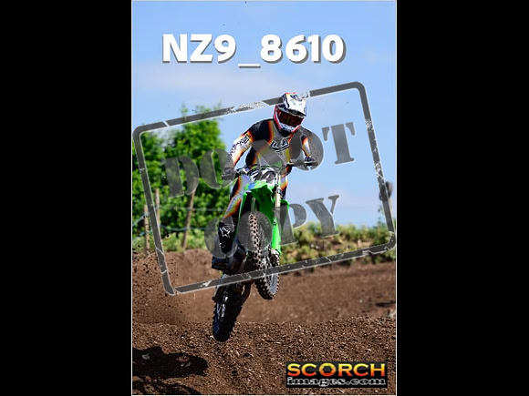 IntersGreenOrange-276
