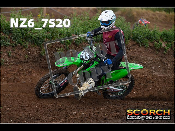 IntersGreen-066