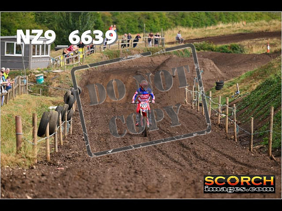 Red- Over 60-021